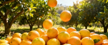 <h1 style="font-size:22px;color:rgba(0, 0, 0, 0.9);font-family:PingFang SC, system-ui, -apple-system, BlinkMacSystemFont, Helvetica Neue, Hiragino Sans GB, Microsoft YaHei UI, Microsoft YaHei, Arial, sans-serif;background-color:#FFFFFF;">
	<span style="font-size:14px;">2025年华宁县牛山冰糖橙抢“鲜”上市</span><br />
</h1>
<span style="font-size:16px;"></span>